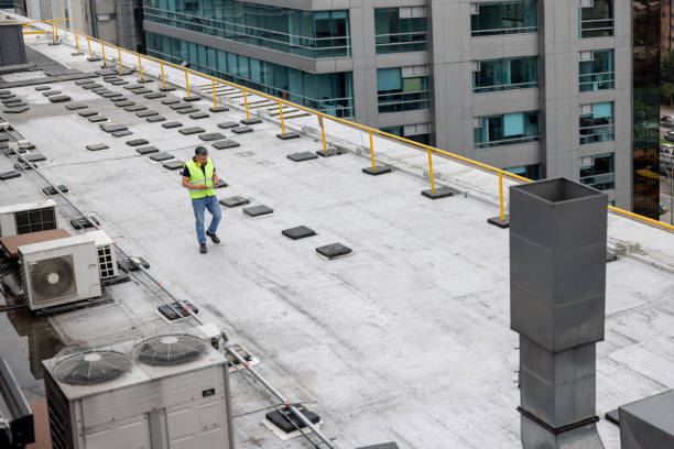 Best Roof Ventilation Installation  in Bourg, LA